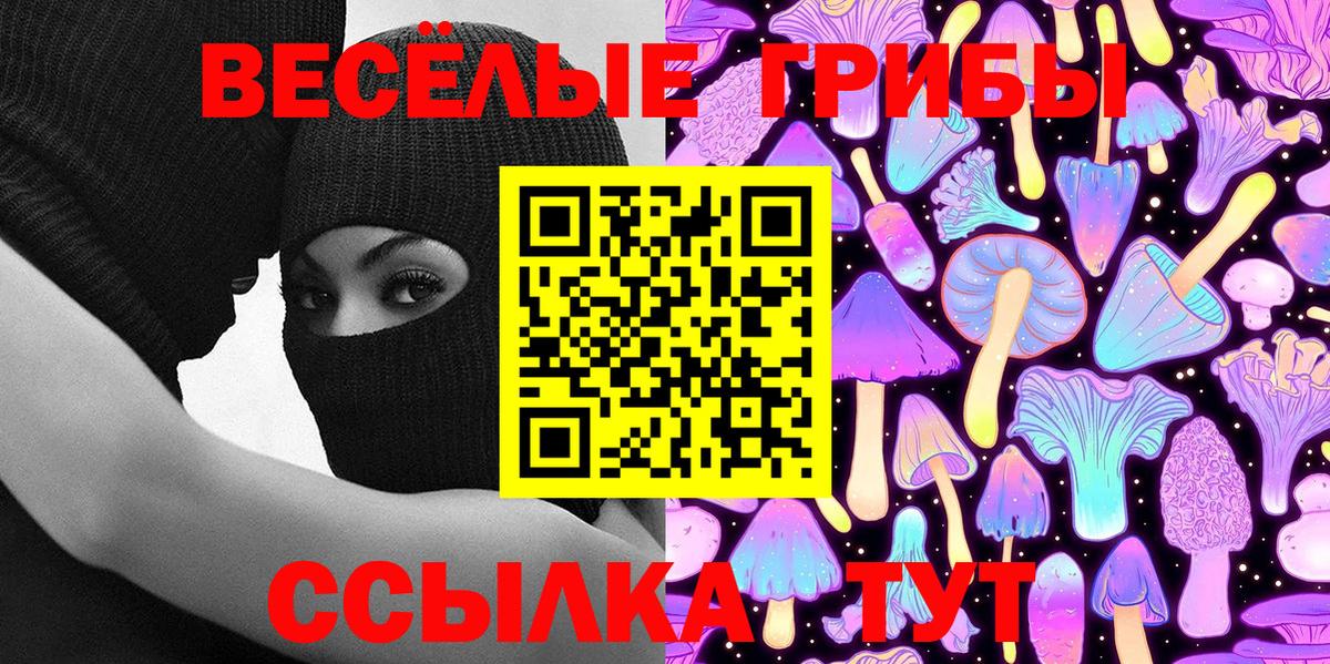 Псилоцибиновые грибы Psilocybe Кострома