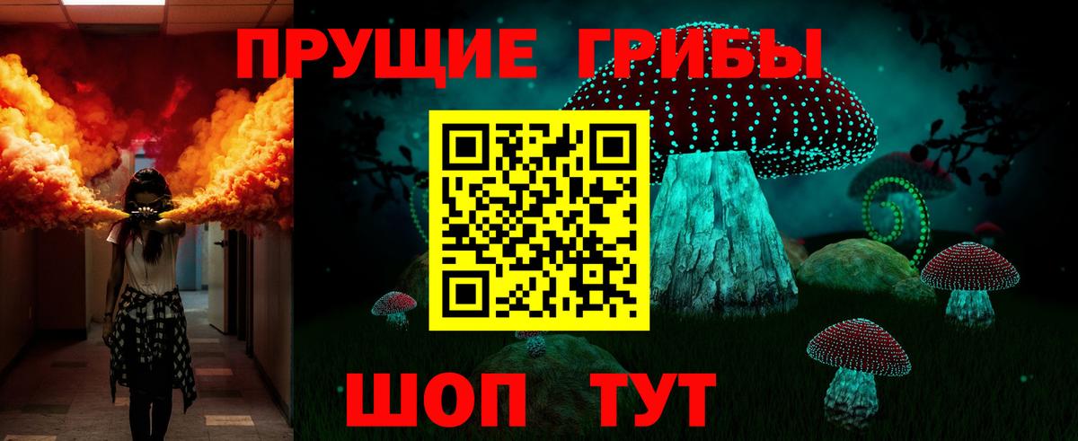 Псилоцибиновые грибы GOLDEN TEACHER  Вход с VPN  Кострома  Псилоцибиновые грибы Cubensis 