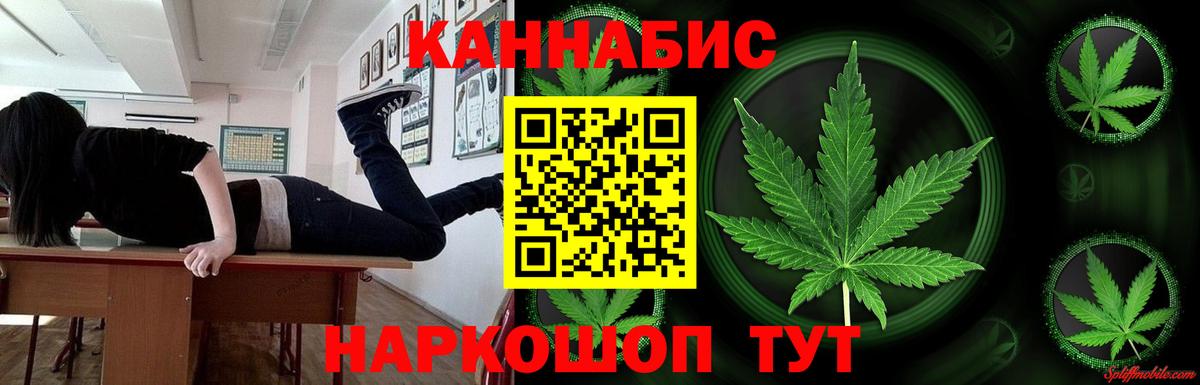 Конопля планчик Кострома